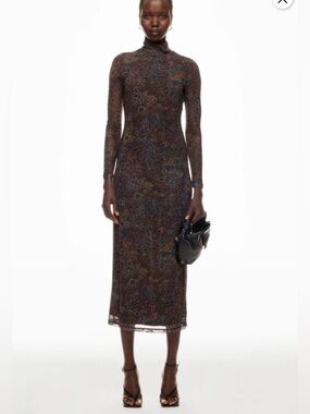 Long Sleeve Paisley Mesh Midi Dress